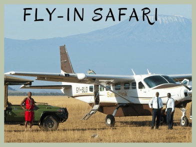 Flying safari (2)