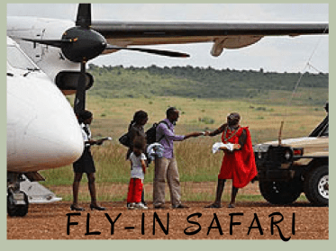 Flying safari (3)