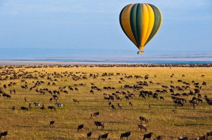 migration-mara-ballooning-hot-air-ballooning-safari-590x390