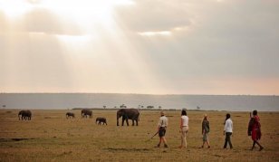 phoca_thumb_l_guided bush walks