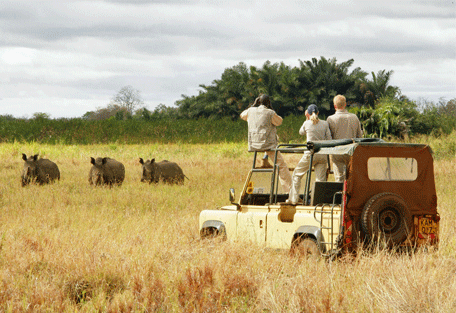 456f_rhino-river-camp_meru-national-park