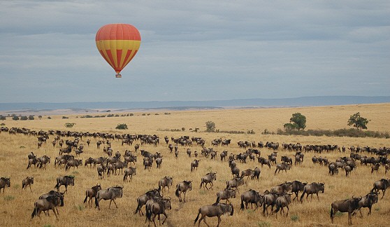 balloonsafarisovermigrationmasaimara