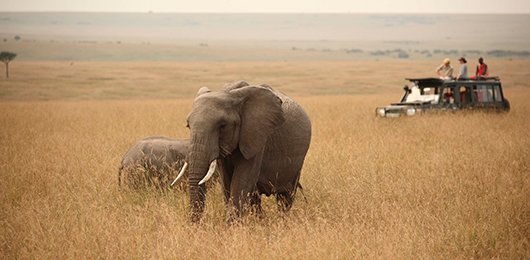 classic-kenya-safari-ker-downey-kenya