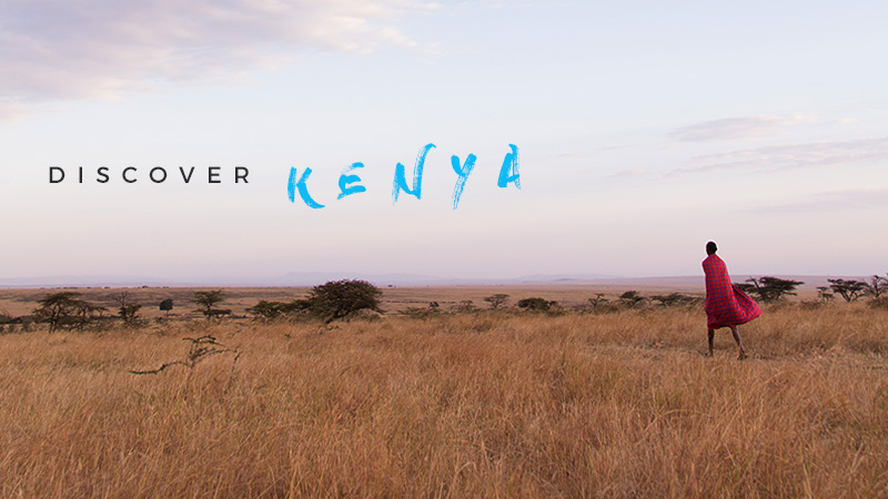 Kenya Discovery Tsavo &&nbsp;Amboseli.