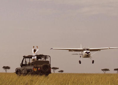 flying-safari