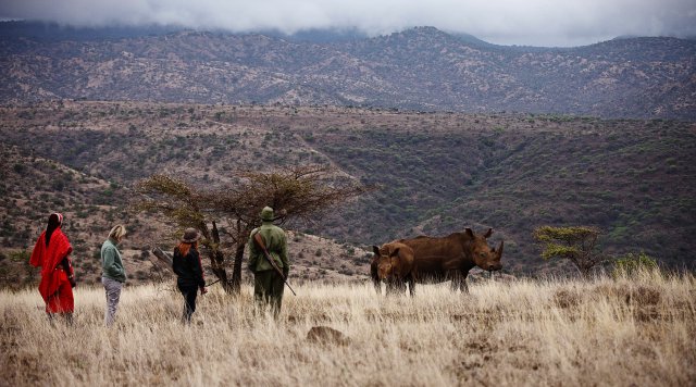 phoca_thumb_l_guided walks in the conservancy