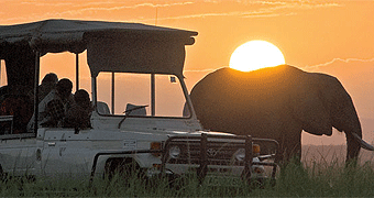 tawi_lodge_game_drive