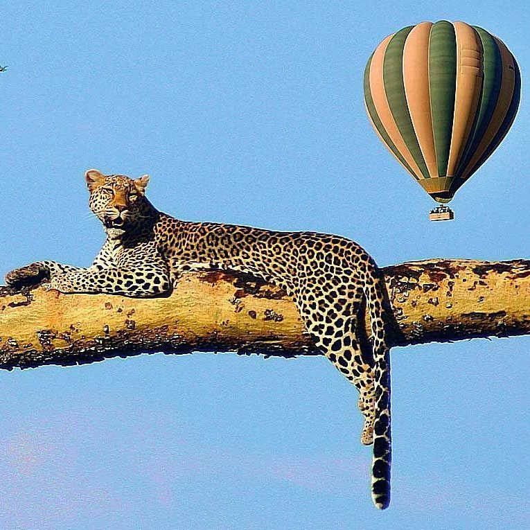 COMPLIMENTARY BALLOON SAFARI – MASAI&nbsp;MARA